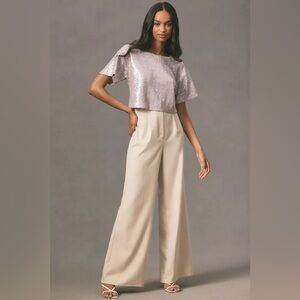 NWT Anthropologie Silver Sequin Top